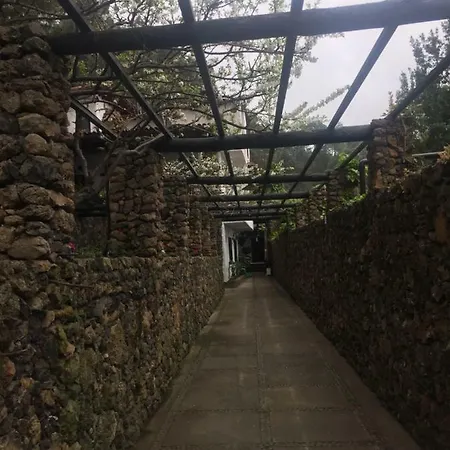 Pinar Del Teide Prázdninový dům Icod De Los Vinos