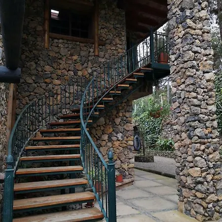 Pinar Del Teide