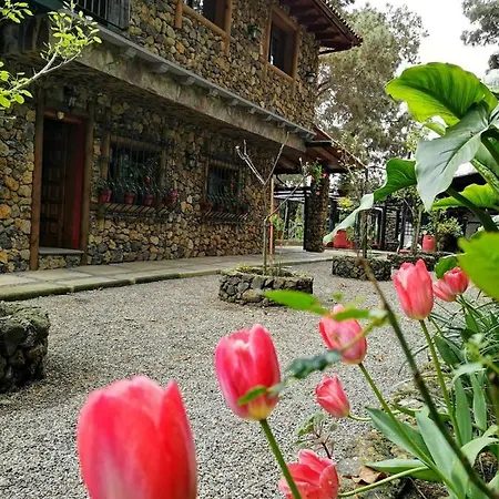 Prázdninový dům Pinar Del Teide Icod De Los Vinos