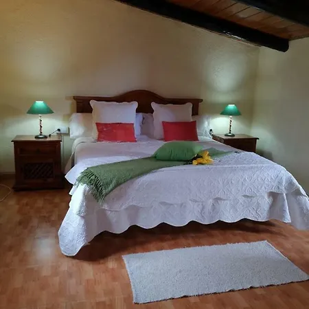 Pinar Del Teide Prázdninový dům *